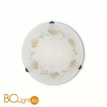 Потолочный светильник Ideal Lux FOGLIA PL2 D40 013800