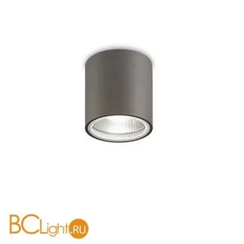 Уличный потолочный светильник Ideal Lux GUN PL1 ANTRACITE 236865