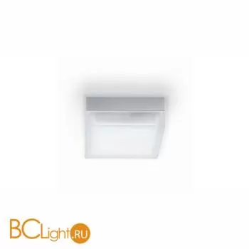 Потолочный светильник Ideal Lux IRIS PL2 D19 052410