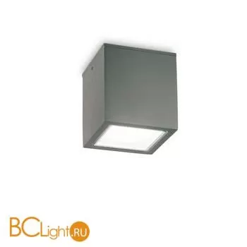 Уличный потолочный светильник Ideal Lux TECHO PL1 BIG ANTRACITE 251516