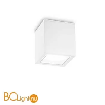 Уличный потолочный светильник Ideal Lux TECHO PL1 SMALL BIANCO 251561