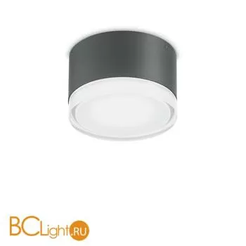 Уличный потолочный светильник Ideal Lux Urano PL1 SMALL ANTRACITE 168111