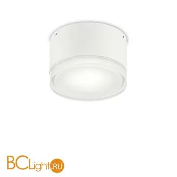 Уличный потолочный светильник Ideal Lux Urano PL1 SMALL BIANCO 168036