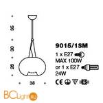 Подвесной светильник IDL Aurora 9015/1SM Transparent - Схема