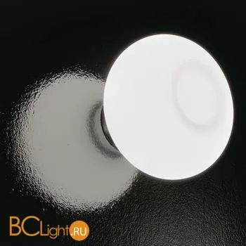 Настенно-потолочный светильник IDL Aurora 9015/1 white