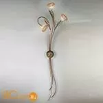 Бра IDL Betulla 265/3A rovere striato V288/149/22