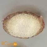 Потолочный светильник IDL Betulla 264/50PF rovere striato V307/151