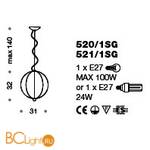 Подвесной светильник IDL Light globe 520/1SG transparent - Схема