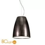 Подвесной светильник IDL Saba 580/1SM black leaf