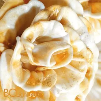 Настольная лампа IlParalume MARINA 5524 1841 - Фото 0