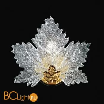 Настенный светильник Italamp 54/AP - O Transp. / O