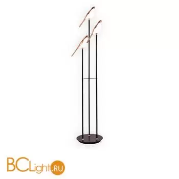 Торшер Kink Light Арси 08446-F,33