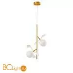 Подвесной светильник Kink Light Аста 07867-2A,33