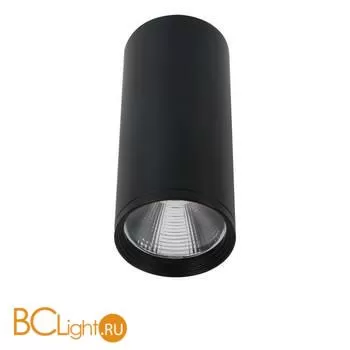 Спот Kink Light Фабио 08570-12,19