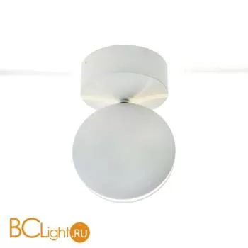 Уличный потолочный светильник Kink Light Ореон 08574,01(4000К)