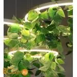 Подвесной светильник Kink Light Тор-Фолио 08223,33TREE - Фото 0