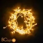 Гирлянда Laitcom Нити PST100-10-2Y