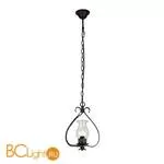 Подвесной светильник L'Arte Luce Age L11901.88 - Фото 0