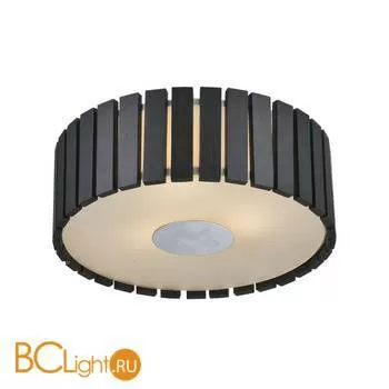 Потолочный светильник L'Arte Luce Capella L28055.09