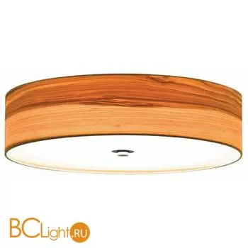 Потолочный светильник L'Arte Luce Disk L65056.22