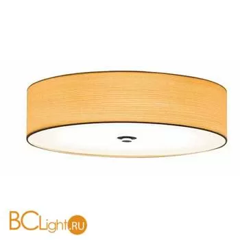 Потолочный светильник L'Arte Luce Disk L65056.34