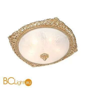 Потолочный светильник L'Arte Luce Linosa L16754.08