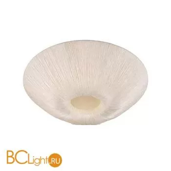 Потолочный светильник L'Arte Luce Luxo L17256.55