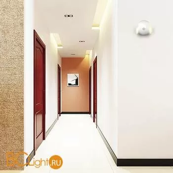 Настольная лампа L'Arte Luce Mikko L44321.02 - Фото 2