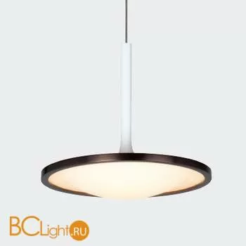 Подвесной светильник L'Arte Luce Rowdy L21761.02