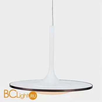 Подвесной светильник L'Arte Luce Rowdy L21762.02