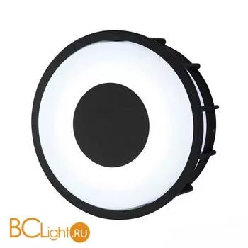 Уличный настенный светильник L'Arte Luce Telma L78056.31