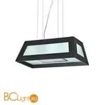 Подвесной светильник L'Arte Luce Vita L28103.09