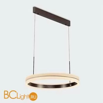 Подвесной светильник L'Arte Luce Wish L21461.86