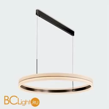 Подвесной светильник L'Arte Luce Wish L21463.86