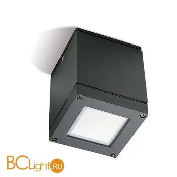 Уличный потолочный светильник Leds-C4 Afrodita 15-9328-z5-b8