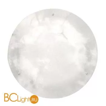 Настенно-потолочный светильник Leds-C4 Evolution 15-0348-81-55