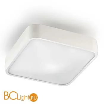 Потолочный светильник Leds-C4 Ras 15-4685-14-m1