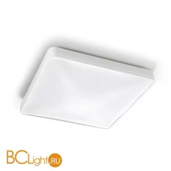 Потолочный светильник Leds-C4 Ras 15-4688-14-m1