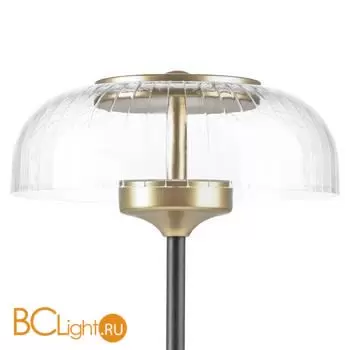 Настольная лампа Lightstar Acrile new 738973 - Фото 1