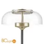 Настольная лампа Lightstar Acrile new 738973 - Фото 1