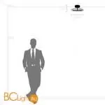 Потолочный светильник Lightstar Acrile new 738033 - Фото 2