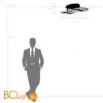 Потолочный светильник Lightstar Acrile new 738053 - Фото 0