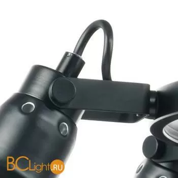 Люстра Lightstar Acrobata 761167 - Фото 2