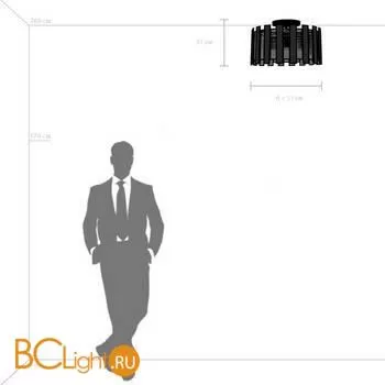 Потолочный светильник Lightstar Agave 712052 - Фото 0