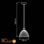 Подвесной светильник Lightstar Agola 810023 - Схема