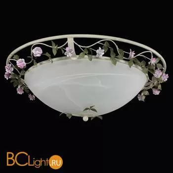 Потолочный светильник Lightstar Aiola 785530