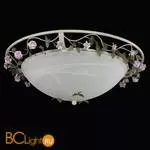 Потолочный светильник Lightstar Aiola 785530