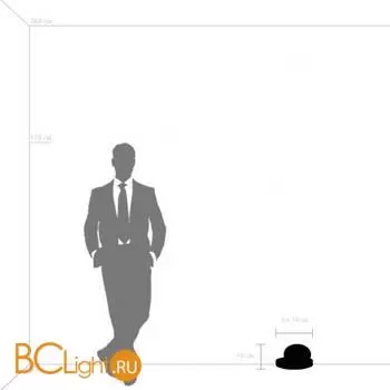 Настольная лампа Lightstar Alfa new 745933 - Фото 0