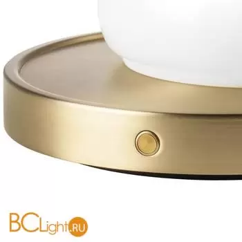 Настольная лампа Lightstar Alfa new 745933 - Фото 1