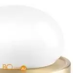 Настольная лампа Lightstar Alfa new 745933 - Фото 2